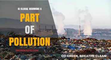 Global Warming: Pollution's Impact on Our Planet