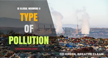 Global Warming: Pollution's Impact on Our Planet