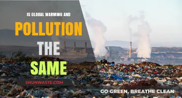 Global Warming vs Pollution: What's the Difference?
