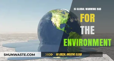 Global Warming's Impact: Unraveling Its Environmental Consequences and Threats
