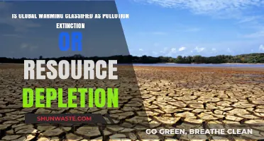 Global Warming: Pollution, Extinction, and Depletion