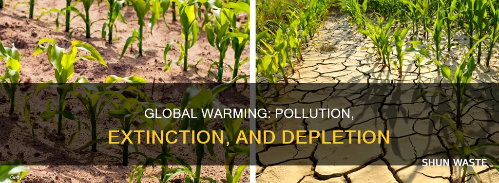 is global warming classified as pollution extinction or resource depletion