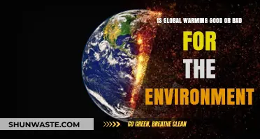 Global Warming: Environmental Boon or Detriment? Exploring the Impact