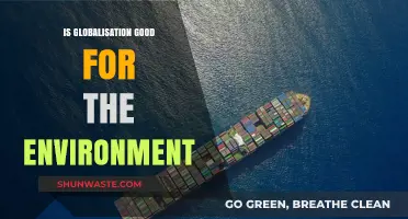 Globalisation's Environmental Impact: A Blessing or Curse for Our Planet?