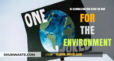 Globalization's Environmental Impact: Balancing Progress and Planetary Health