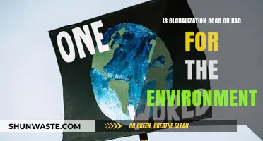 Globalization's Environmental Impact: A Blessing or Curse for Our Planet?