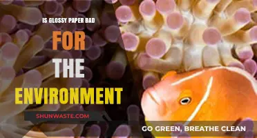 Glossy Paper's Environmental Impact: Sustainable Alternatives and Eco-Friendly Choices