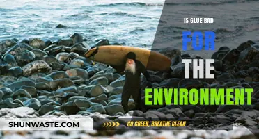 Is Glue Eco-Friendly? Uncovering Its Environmental Impact and Sustainability