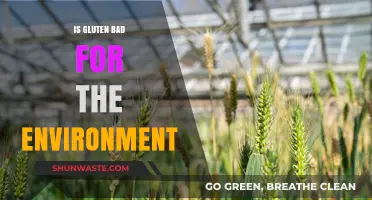 Gluten's Environmental Impact: Uncovering the Hidden Costs of Wheat Production