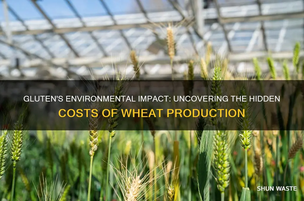 is gluten bad for the environment