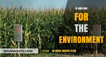 GMO Impact: Environmental Harm or Sustainable Solution?