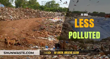 Goa's Pollution Levels: A Breath of Fresh Air?