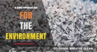 Paperless Offices: Eco-Friendly Solution or Hidden Environmental Pitfall?