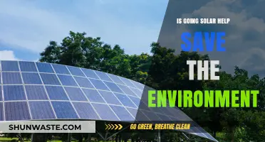 Going Solar: A Sustainable Step to Save Our Environment?