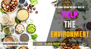 Veganism and the Environment: The Ultimate Eco-Friendly Lifestyle Choice?