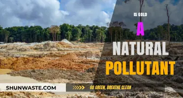 Gold's Natural Pollution: Is It a Concern?