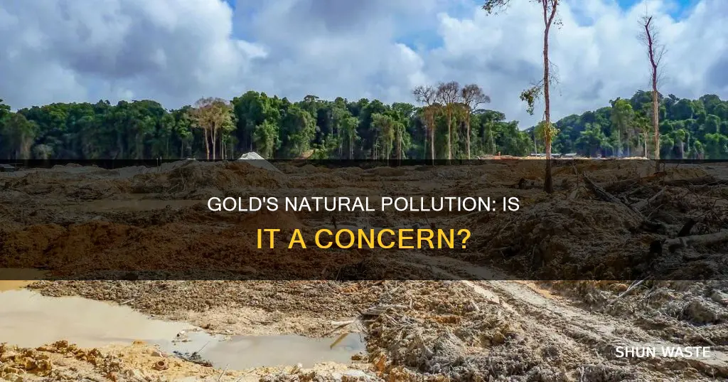 is gold a natural pollutant