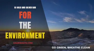 Environmental Impact of Gold and Silver Mining: Sustainable or Harmful?