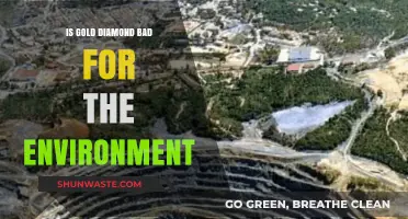 Environmental Impact of Gold and Diamond Mining: A Critical Analysis