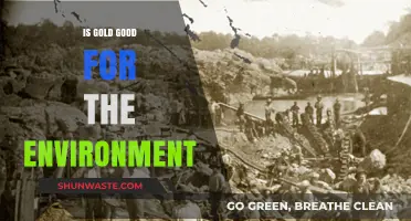 Gold's Environmental Impact: Sustainable or Harmful for Our Planet?