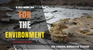 Gold Mining's Environmental Impact: Uncovering the Hidden Costs and Consequences
