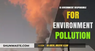 Who's to Blame for Pollution?