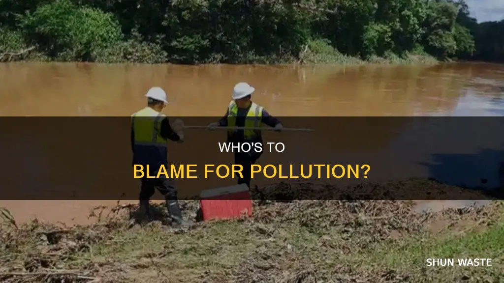 is government responsible for environment pollution