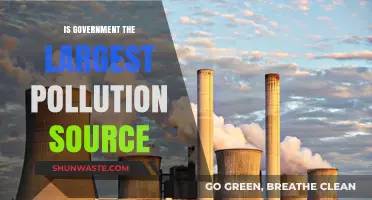 Who's the Biggest Polluter? Governments Under the Microscope