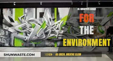 Graffiti's Environmental Impact: Art, Pollution, or Urban Revitalization?