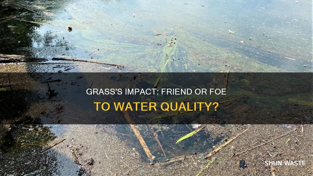 is grass a water pollutant