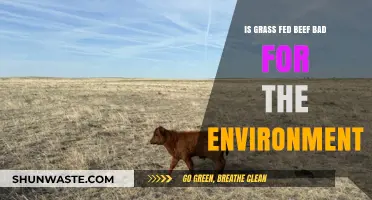 Grass-Fed Beef's Environmental Impact: Sustainable Choice or Eco-Hazard?