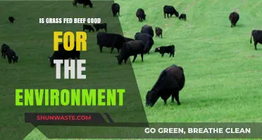Is Grass-Fed Beef Eco-Friendly? Uncovering Its Environmental Impact