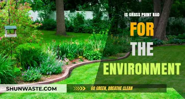 Is Grass Paint Eco-Friendly? Environmental Impact and Sustainability Concerns
