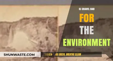 Gravel's Environmental Impact: Uncovering the Hidden Ecological Consequences