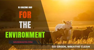 Grazing's Environmental Impact: Harmful Practice or Sustainable Solution?