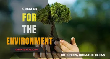 Grease's Environmental Impact: Harmful Effects and Sustainable Disposal Solutions
