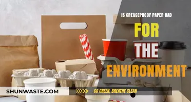 Is Greaseproof Paper Eco-Friendly? Environmental Impact Explained