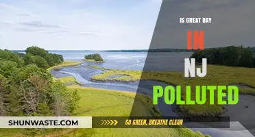 The Great Bay Pollution Problem