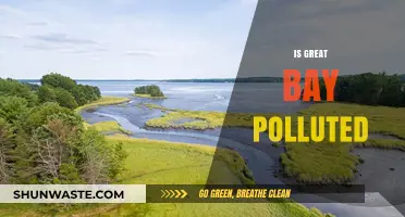 Great Bay's Pollution Problem: A Troubled Waterway