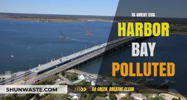The Great Egg Harbor Bay: Polluted Paradise?