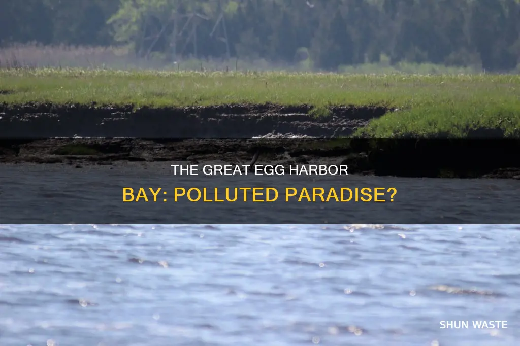 is great egg harbor bay polluted