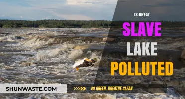 The Great Slave Lake: Polluted Paradise?