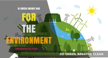 Is Green Energy Harmful? Uncovering Environmental Impacts and Myths