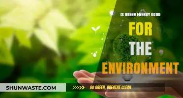 Green Energy's Environmental Impact: Benefits, Challenges, and Sustainable Future