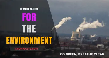 Is Green Gas Eco-Friendly? Uncovering Its Environmental Impact and Truth