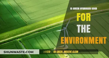 Is Green Hydrogen an Eco-Friendly Solution for a Sustainable Future?