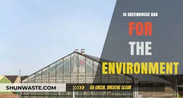 Are Greenhouses Eco-Friendly or Harmful to Our Environment?