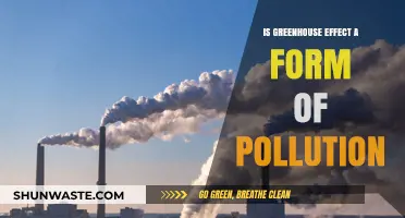 Greenhouse Effect: Pollution or Natural Process?