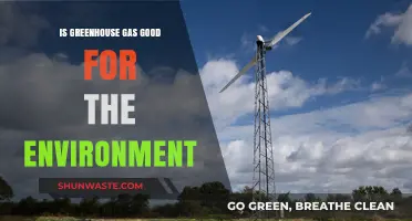 Greenhouse Gases: Environmental Villain or Unseen Ecosystem Ally?
