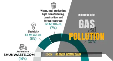 Greenhouse Gas Pollution: A Global Climate Emergency